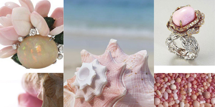 Conch Pearls